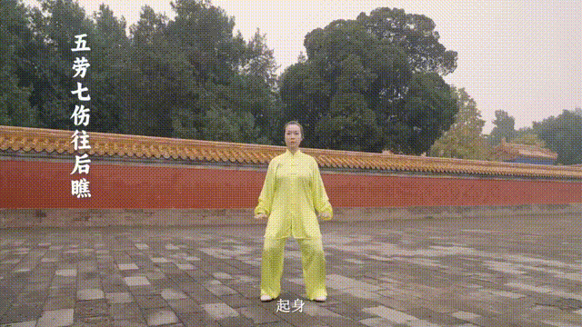 5.gif