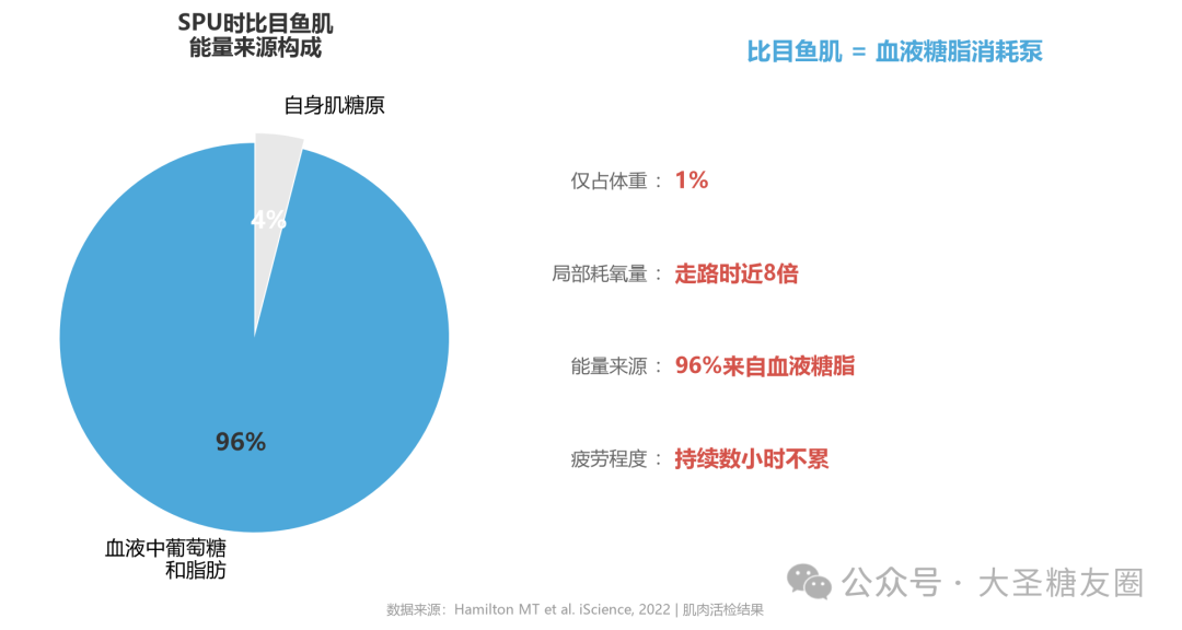 久坐族福利！一个小动作竟能让餐后血糖直降52%